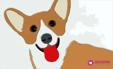 022年生肖运势运程，属兔2022年运势及运程"