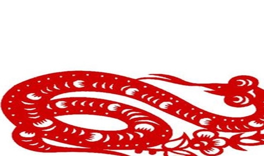 7年蛇属火还是属土，1977年出生是火命吗"