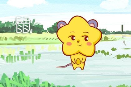 2年属鼠50岁后命运女，72年生肖鼠双子座男50岁"