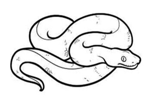 965年属蛇火命,65年属蛇的人晚年命运"