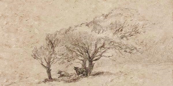 牛年亥时出生缺什么五行,亥时是几点到几点钟