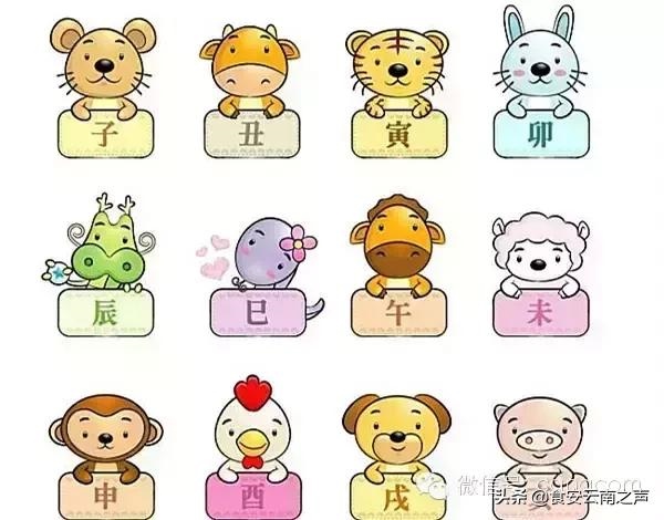 属狗的女人戴银手镯好不好，属狗的带金刚杵手镯好吗