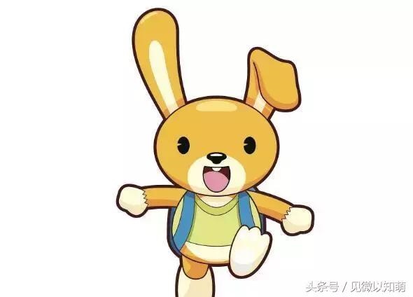 属兔在2022年的运程1963，1963的人2022运程