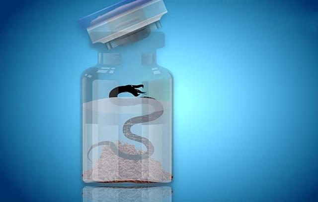 7年农历四月的蛇是什么命,1978年属马的是什么命"