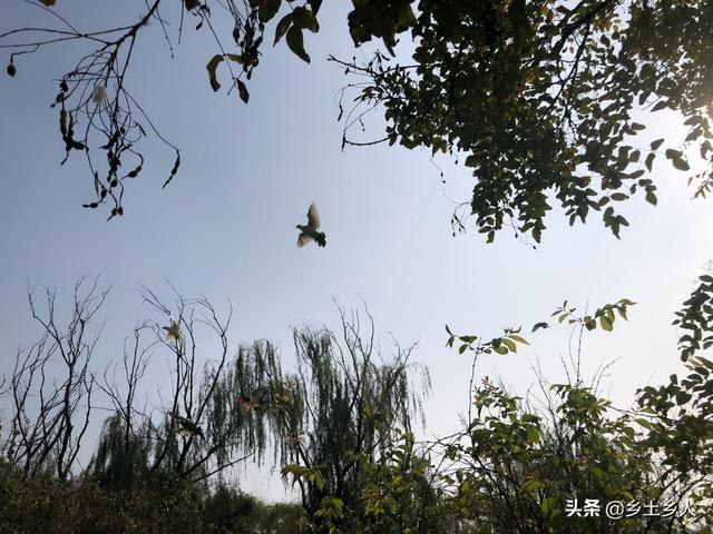 属蛇不宜去的方位，属蛇人适合的方向