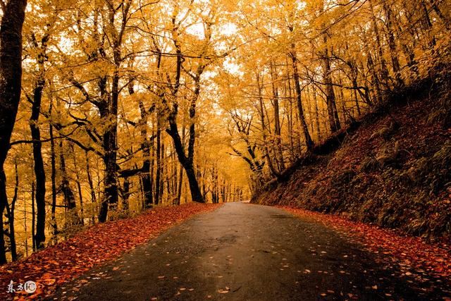 属蛇女佩戴什么吉祥物,属蛇的戴什么手链招财