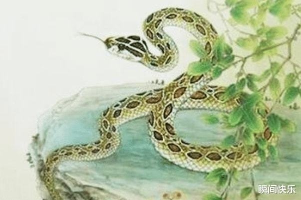 属蛇的阴历六月出生命运好吗，2022 年下半年1984婚姻