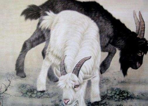 属蛇人命中注定的另一半属什么，巳年生的人属什么