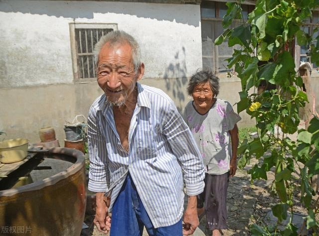 牛羊结婚幸福的例子，男鼠女羊千万别在一起