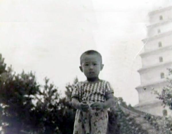 二婚男蛇女兔的婚姻好不好，男猪女狗的婚姻好吗