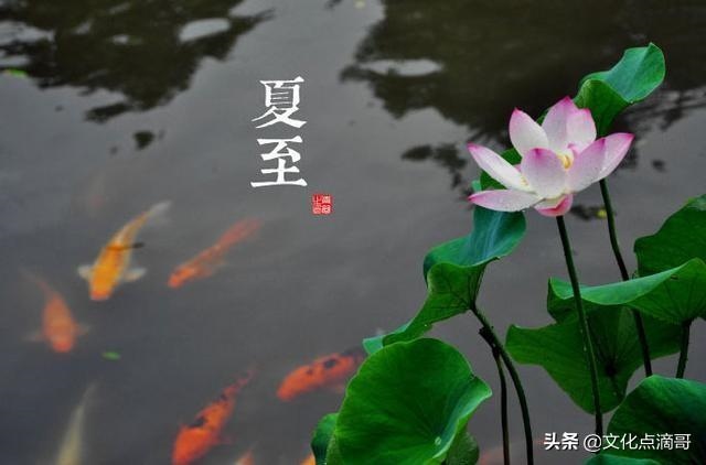 立冬是属什么生肖，立冬是冬至吗