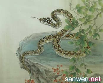 属蛇八月生是什么命，免费生辰八字五行查询