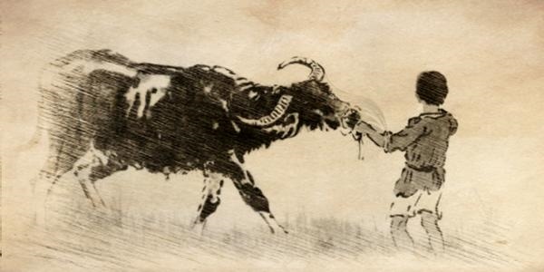 牛年亥时出生缺什么五行,亥时是几点到几点钟