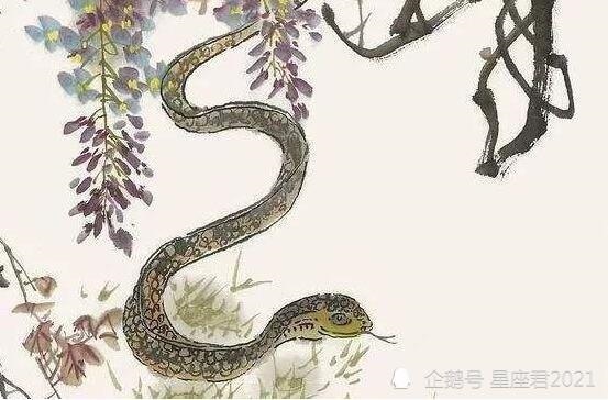 7年属蛇男的感情，1977属蛇男感情方面"