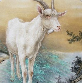 003年属羊今年多大，2003年10出生的今年几岁"