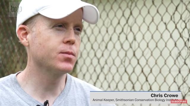 虎和蛇做夫妻好不好，男属虎女属蛇婚配情况