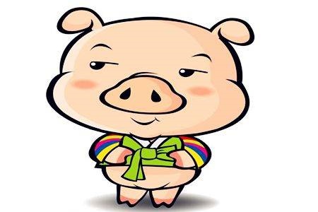 猪今年的运势如何2022，12生肖运势2022 年运势详解势详解