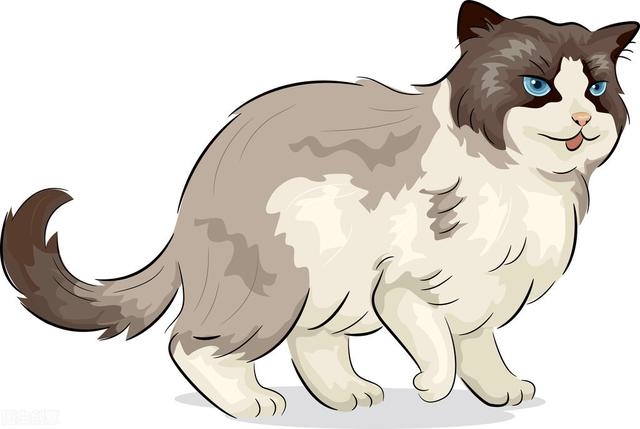 蛇为什么有9条命，猫有九条命读后感