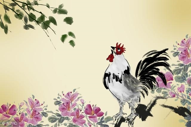 属鸡的招财物是什么，属鸡做生意要放什么招财