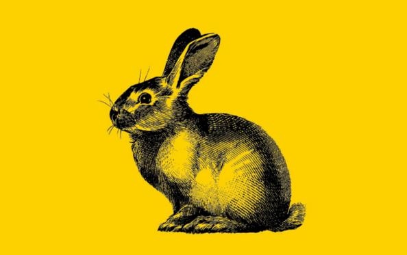 999年男兔八字姻缘，八字合婚免费测试"