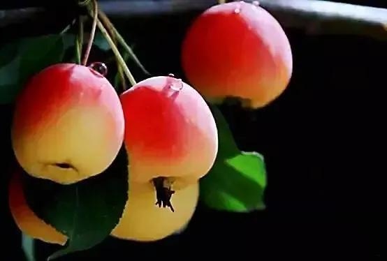 生肖蛇2022年运势及运程，2022年属猴终于转运了