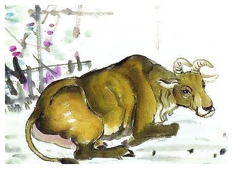 属牛和哪些属相相克，属牛的和什么属相不合