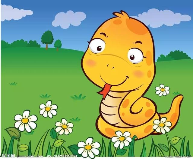 属蛇在2022年财运好不好，属虎2022 年运势及运程