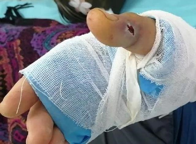 7年农历四月的蛇是什么命,1978年属马的是什么命"