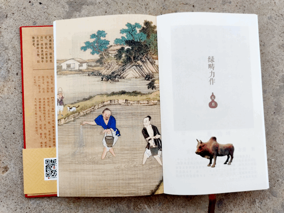 每日显示生肖的日历，电脑桌面日历