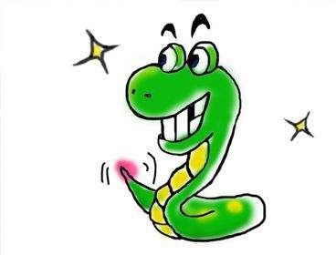 属蛇的今年虚岁是多少,2022 年属马的多少岁