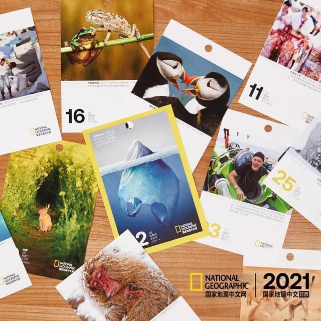 李居明2022年通胜，非常运势 2022年运势