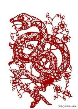 属蛇为什么叫巳蛇，属蛇的几月女人命好