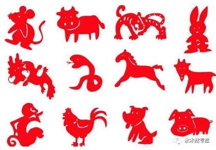 属相马和属相蛇，属蛇和属马的姻缘怎样