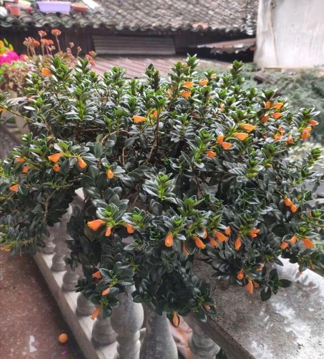 其实非常吉利，有寓意的4位吉利数字"