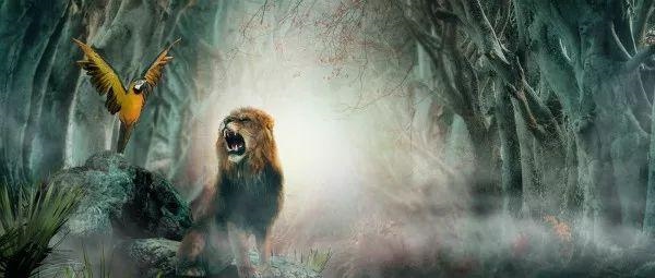 十月出生的蛇命运如何，十月的蛇是什么命