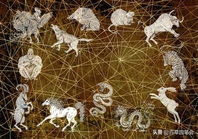 979年属羊女的命运如何,1979年属羊女的贵人"