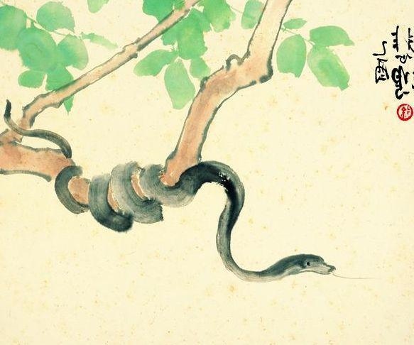 蛇女几月出生命好,属蛇女几月出生克夫