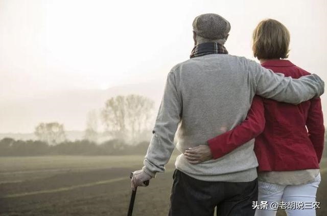 男猴与女蛇相差9岁，千金难买蛇猴配