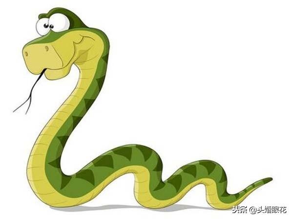 1月属蛇的人命运如何,11月份属蛇的财运怎么样"