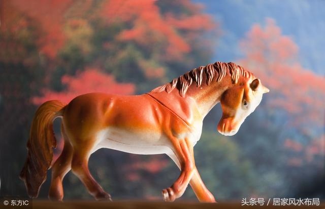 属蛇适合什么数字车牌，车牌遮挡数字磁铁贴