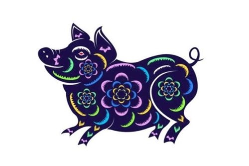 猪今年的运势如何2022，12生肖运势2022 年运势详解势详解