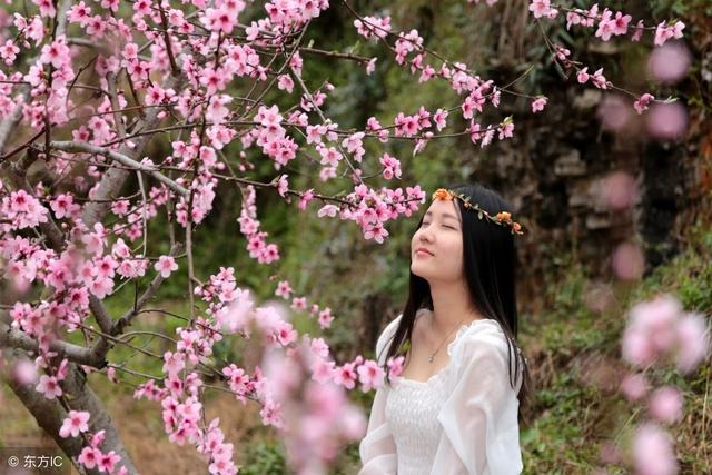 属蛇的桃花贵人是什么，属龙的桃花贵人