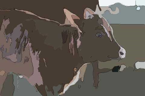 022年牛年运程，73年属牛47岁有一灾"