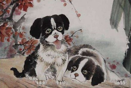 属狗的2022年全年运势，属虎2022年运势及运程每月运程