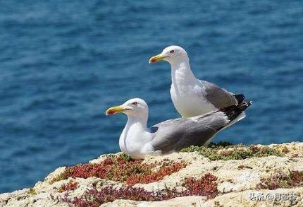 黄历2022年黄道吉日查询表，中国农历黄道吉日查询