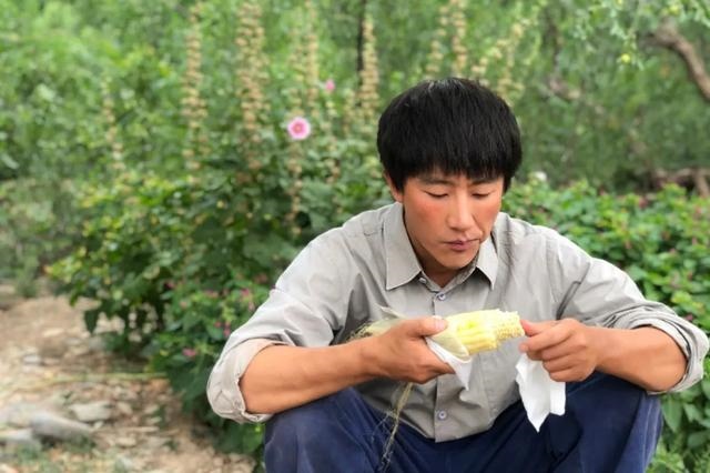 0年代属马的今年多少岁，生肖马今年几岁"