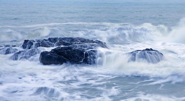 属马44岁什么命运，2023年属马人的全年运势