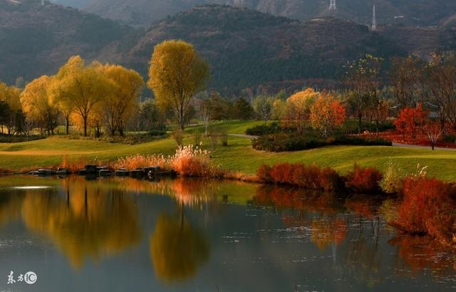 属蛇11月份的财运,属蛇女命里有儿子吗