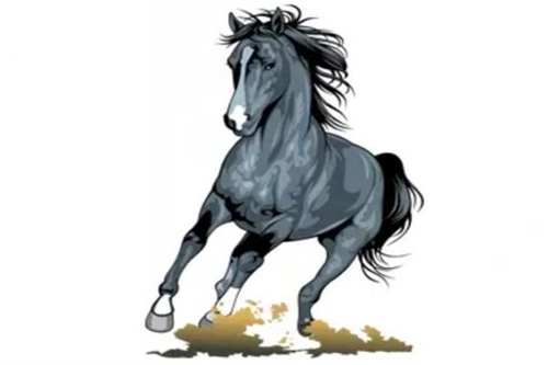 属马二月出生命运详细，1978年二月属马的命运