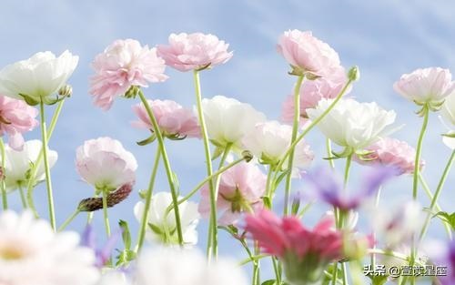 为什么有人三十年大运，算命的说晚婚只是种安慰